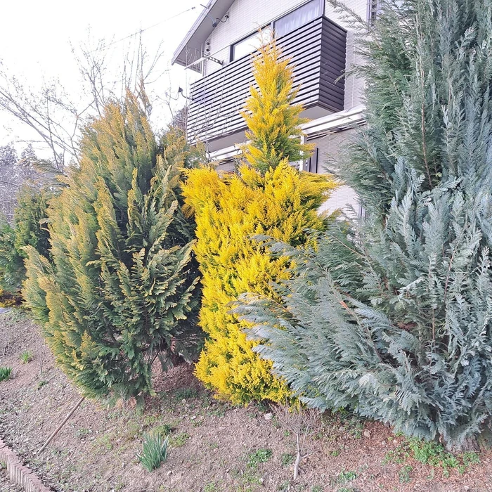 画像248