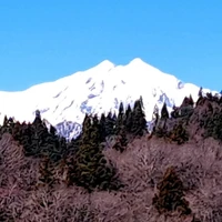 画像251