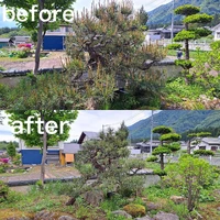 画像269