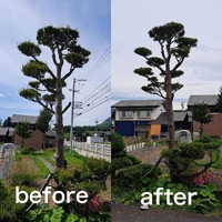 画像270
