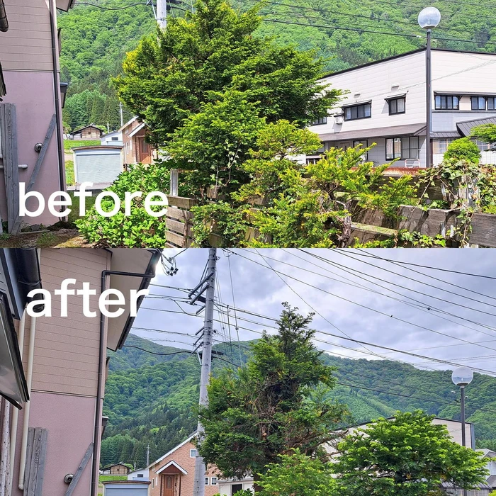 画像271
