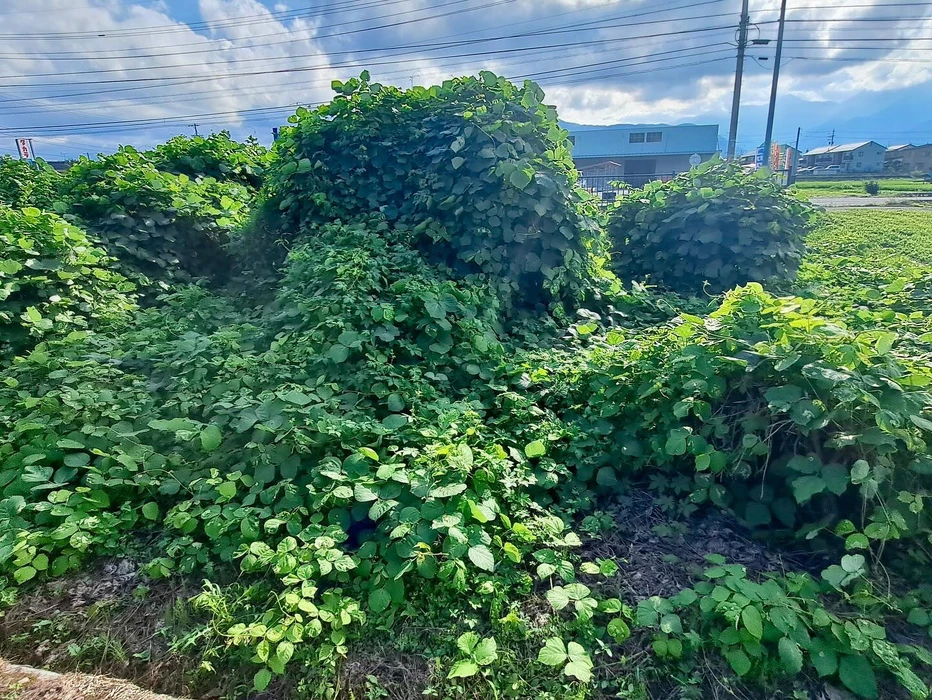 画像334