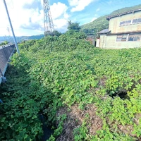 画像335