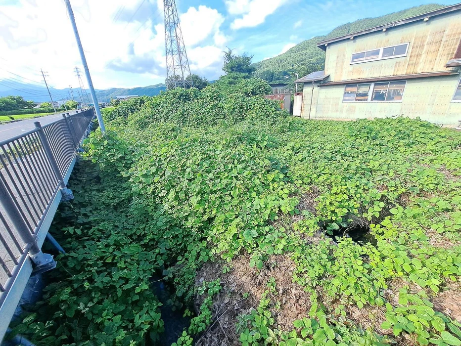 画像335