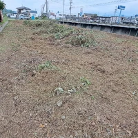 画像337