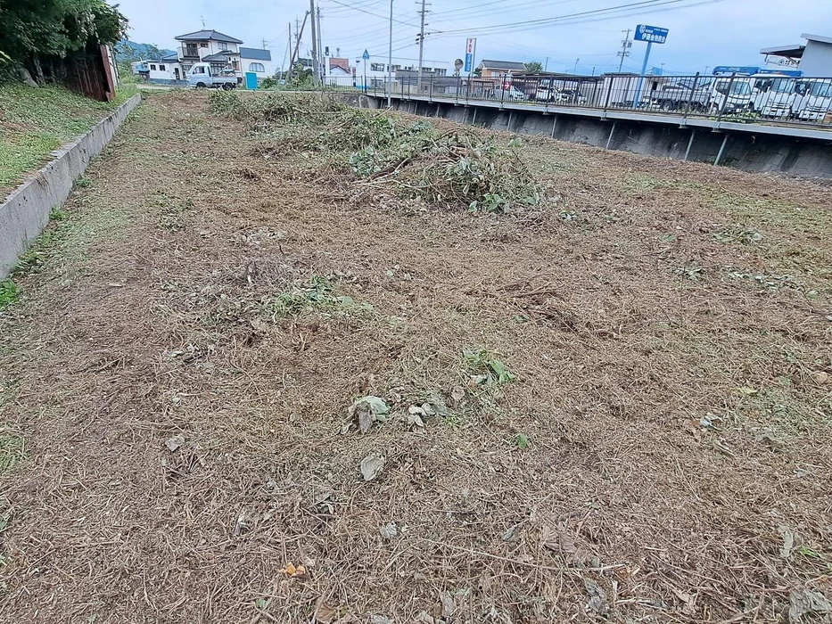 画像337