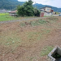 画像338